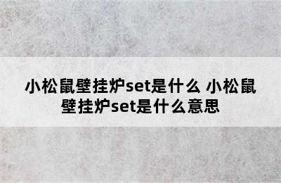 小松鼠壁挂炉set是什么 小松鼠壁挂炉set是什么意思